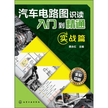 汽車電路圖識讀入門到精通(實戰篇 全彩印刷)