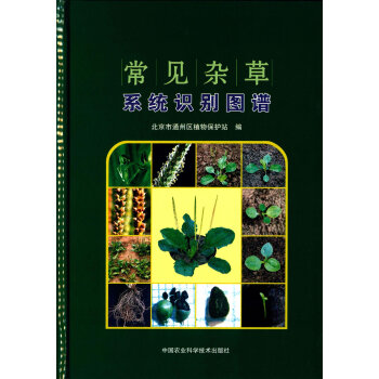 常见杂草系统识别图谱 pdf epub mobi 电子书 下载