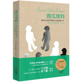 傻瓜维特 pdf epub mobi 电子书 下载