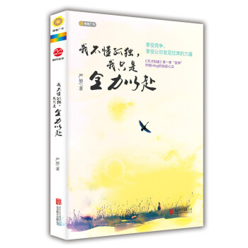 我不懂孤独，我只是全力以赴 pdf epub mobi 电子书 下载