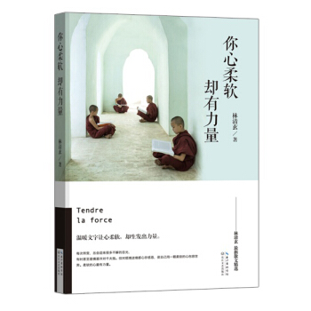 你心柔软，却有力量：林清玄最新散文精选 pdf epub mobi 电子书 下载