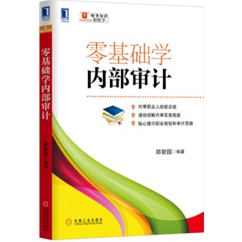 零基礎學內部審計 pdf epub mobi 電子書 下載