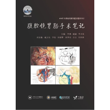 腹腔镜胃肠手术笔记 AME科研时间系列医学图书002 pdf epub mobi 电子书 下载