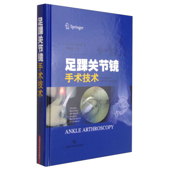 足踝关节镜手术技术 [Ankle Arthroscopy] pdf epub mobi 电子书 下载
