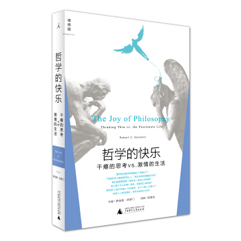 哲学的快乐：干瘪的思考vs.激情的生活 pdf epub mobi 下载