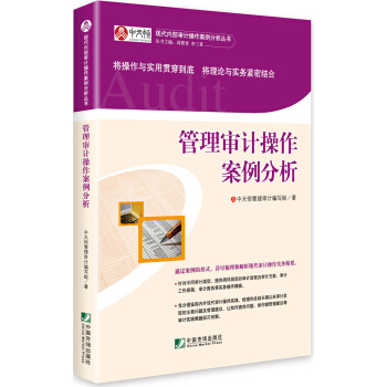 管理审计操作案例分析 pdf epub mobi 电子书 下载