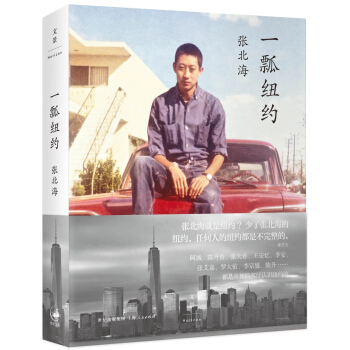 一瓢纽约 pdf epub mobi 电子书 下载
