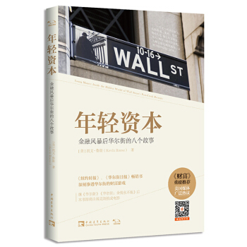 年轻资本:金融风暴后华尔街的八个故事