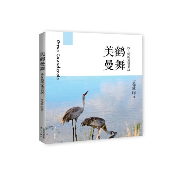 美鹤曼舞　沙丘鹤的爱情表达 pdf epub mobi 电子书 下载