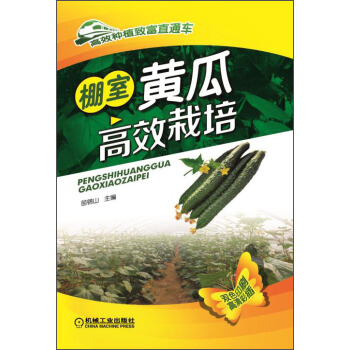 高效种植致富直通车:棚室黄瓜高效栽培