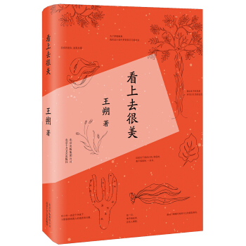 王朔:看上去很美（2015版） pdf epub mobi 電子書 下載