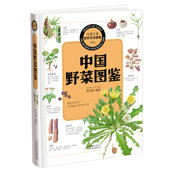 中國之美 自然生態圖鑒:中國野菜圖鑒