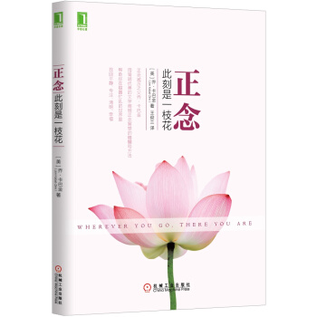 正念：此刻是一枝花 [Wherever You Go, There You Are: Mindfulness Medita] pdf epub mobi 電子書 下載