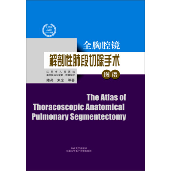 全胸腔镜解剖性肺段切除手术图谱 pdf epub mobi 电子书 下载