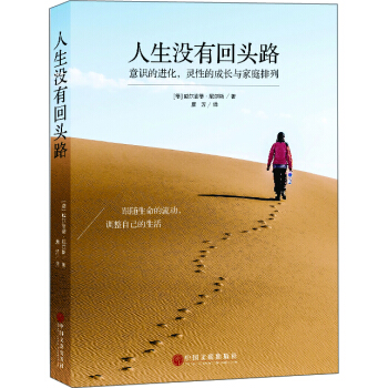 人生沒有迴頭路：意識的進化，靈性的成長與傢庭排列 pdf epub mobi 電子書 下載