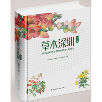 草木深圳都市篇