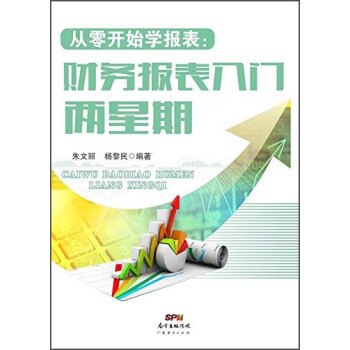 从零开始学报表：财务报表入门两星期 pdf epub mobi 电子书 下载