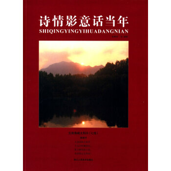 诗情影意话当年 pdf epub mobi 电子书 下载