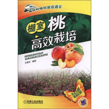 高效種植緻富直通車:棚室桃高效栽培