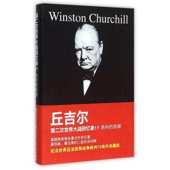 丘吉尔第二次世界大战回忆录11：胜利的浪潮 pdf epub mobi 电子书 下载