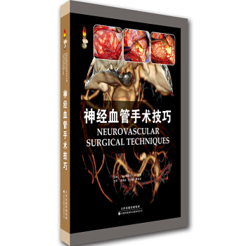 神經血管手術技巧 pdf epub mobi 電子書 下載