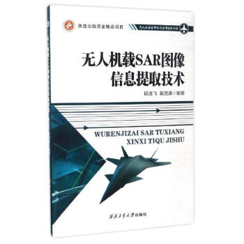 無人機載SAR圖像信息提取技術 pdf epub mobi 電子書 下載