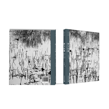 墨飞色舞：曹无刘墨摄影作品集（套装共两册） pdf epub mobi 电子书 下载