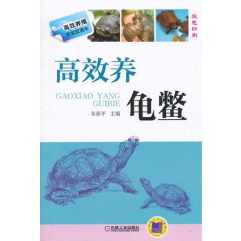 高效养龟鳖(高效养殖致富直通车) 朱新平 pdf epub mobi 电子书 下载