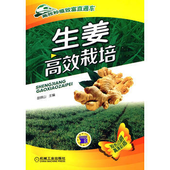 生姜高效栽培(高效种植致富直通车) 苗锦山 pdf epub mobi 电子书 下载