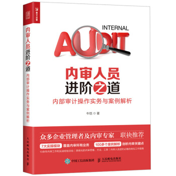 包郵 內審人員進階之道 內部審計操作實務與案例解析 企業財務會計管理 內控風控審計書籍 pdf epub mobi 電子書 下載