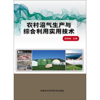 农村沼气生产与综合利用实用技术 pdf epub mobi 电子书 下载