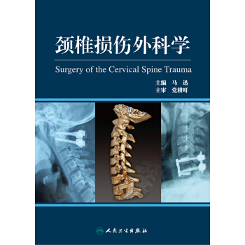 颈椎损伤外科学 pdf epub mobi 电子书 下载