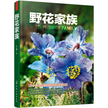 野花家族 [Wild Flower Family] pdf epub mobi 电子书 下载