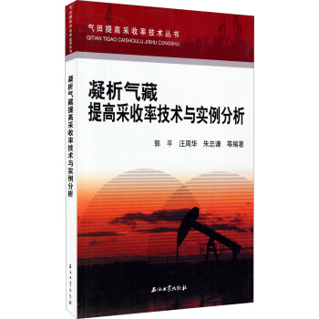 凝析氣藏提高采收率技術與實例分析 pdf epub mobi 電子書 下載