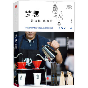 梦想是这样成真的 pdf epub mobi 电子书 下载