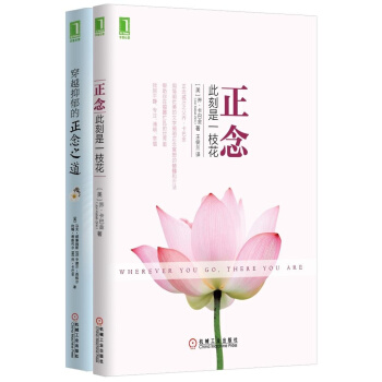正念大师套装（套装共2册，正念：此刻是一枝花+穿越抑郁的正念之道） pdf epub mobi 电子书 下载