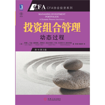 投资组合管理：动态过程（原书第3版） pdf epub mobi 电子书 下载