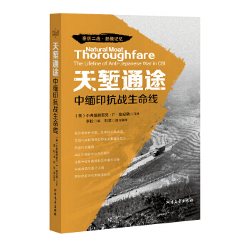 天塹通途：中緬印抗戰生命綫 pdf epub mobi 電子書 下載