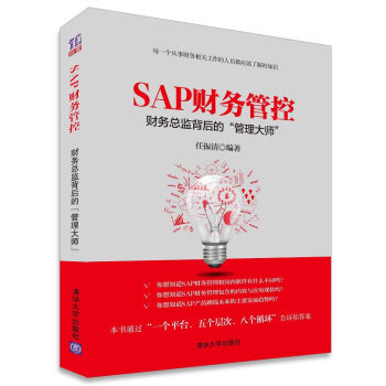 SAP财务管控：财务总监背后的“管理大师” pdf epub mobi 电子书 下载