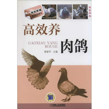高效養肉鴿(雙色印刷) pdf epub mobi 電子書 下載