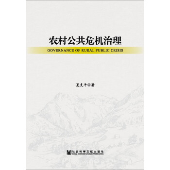 农村公共危机治理