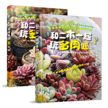 和二木一起玩多肉 2 （套装上下册） pdf epub mobi 电子书 下载