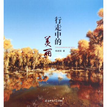 行走中的美丽 pdf epub mobi 电子书 下载