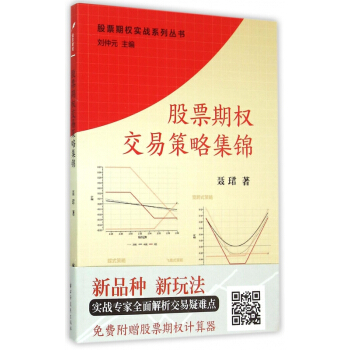 股票期权交易策略集锦/股票期权实战系列丛书 pdf epub mobi 电子书 下载