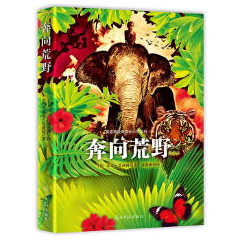 奔嚮荒野 pdf epub mobi 電子書 下載