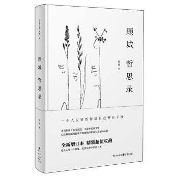 顾城哲思录（精装） pdf epub mobi 电子书 下载