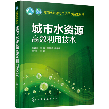 城市水资源高效利用技术 pdf epub mobi 电子书 下载