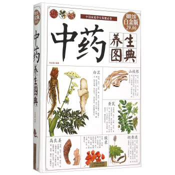 中药养生图典（超值全彩白金版） pdf epub mobi 电子书 下载
