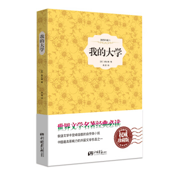 我的大学（原版插图 精装典藏本） pdf epub mobi 电子书 下载
