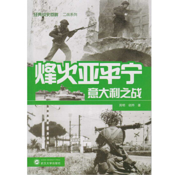 烽火亚平宁:意大利之战